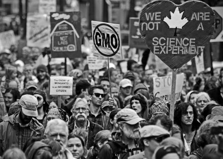 Marchers in Vancouver joined hundreds of thousands around the world in a march against agri-business and chemical giant Monsanto. PHOTO: D.M. Gillis