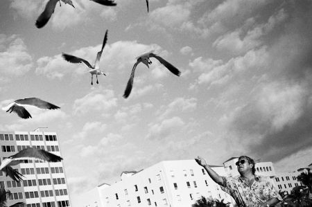 A sun-seeker feeds gulls on Hollywood Beach, an area of Florida known for its popularity among Canadian snowbirds. Just a few kilometers inland are low-income minority areas hit hard by the collapse and now targeted by real estate investors. PHOTO: Neal Rockwell.