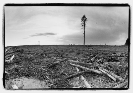 Eleven years after the first bockades went up, Grassy Narrows First Nation continues to fight to protect the Whiskey Jack forest and their traditional territory. Photo by Jon Schledewitz, redlineagency.com