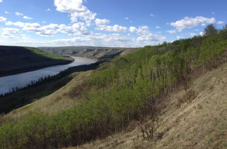 Peace River Valley. Photo: Murray Bush