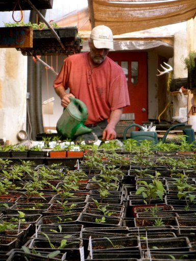 After their plants died in 2010, David Neufeld (pictured) and Maggie Andres discovered that the herbicide Tordon 101 was used in nearby ditches. Photo by Maggie Andres
